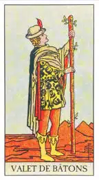 Valet de Bâtons - Tarot Rider Waite